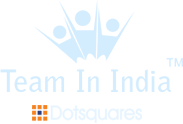 Team In India logo